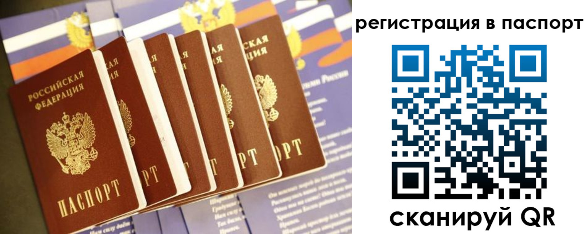 прописка ребенка в Сураже